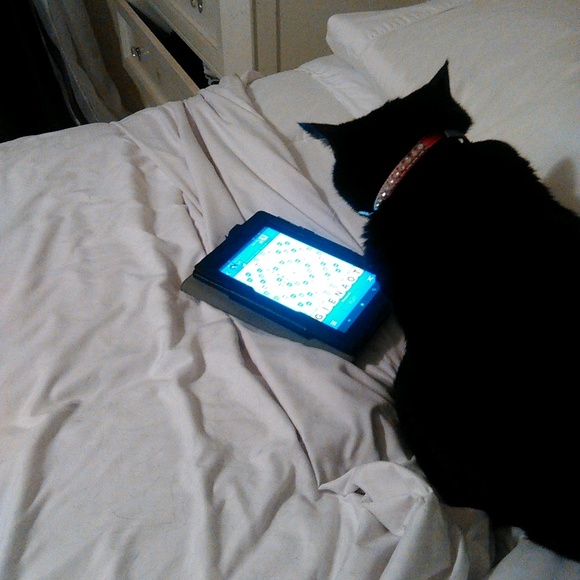 Meet your Posher, Joanne - Picture 1 of 1